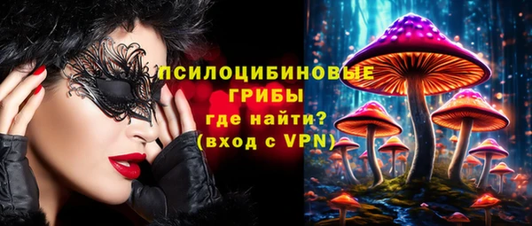 скорость Горняк