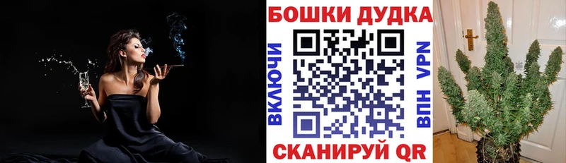 Бошки Шишки ГИДРОПОН  Купить закладки  Краснокамск 